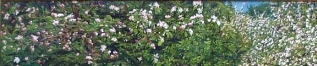 cropped-apple-blossoms-or-spring-millais-resized.jpg